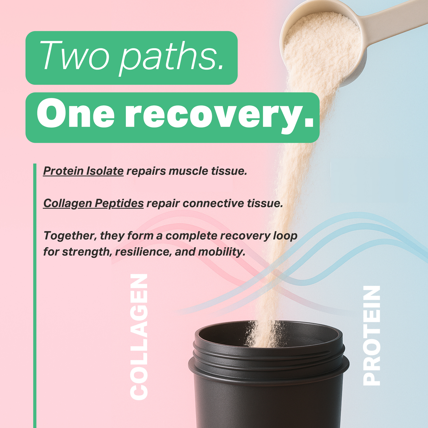 Collagen Protein Isolate - Belgian Chocolate