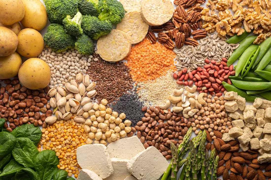 The Essential Nutrient: Why You Need to Have Protein Daily