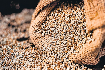 Protein Power: How Much Protein Should You Consume Daily?