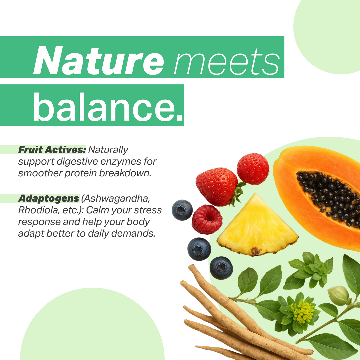 Breakfast Protein Smoothie Mix - Mind Fuel (Dates | Cocoa | Ashwagandha)