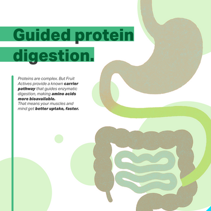 Breakfast Protein Smoothie Mix - Mind Fuel (Dates | Cocoa | Ashwagandha)