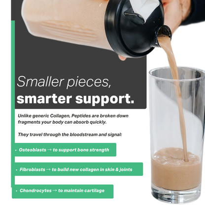 Collagen Protein Isolate - Belgian Chocolate