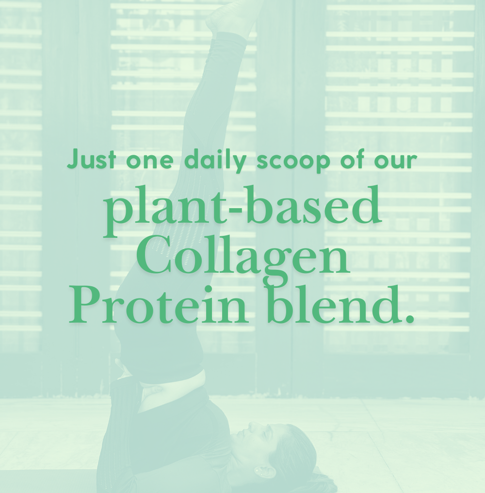 Pack 4 (Days 45–60)